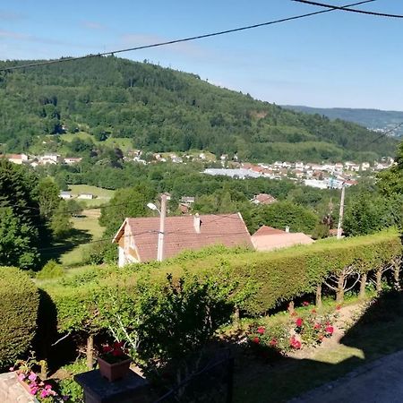 Gite De Bellevue Maison Traditionnelle Vosgienne 플레인팡 외부 사진
