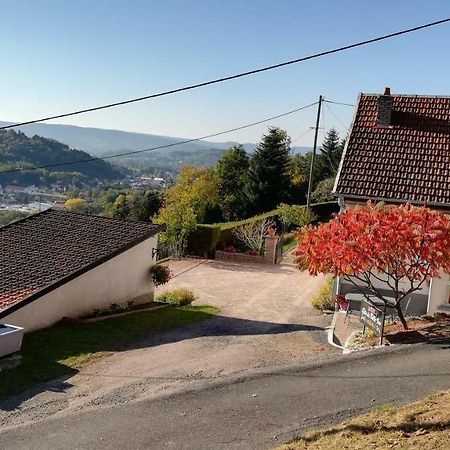 Gite De Bellevue Maison Traditionnelle Vosgienne 플레인팡 외부 사진