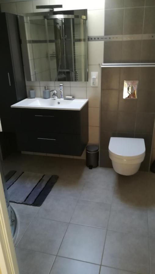 Gite De Bellevue Maison Traditionnelle Vosgienne 플레인팡 외부 사진