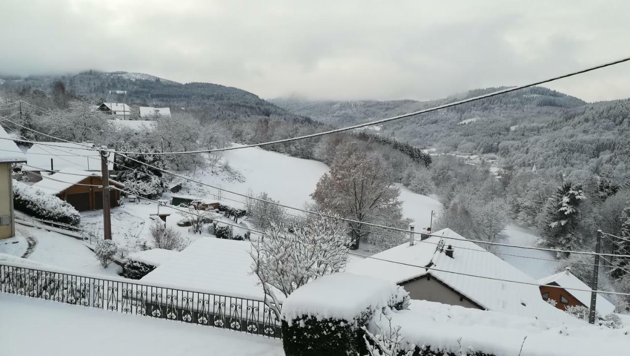 Gite De Bellevue Maison Traditionnelle Vosgienne 플레인팡 외부 사진