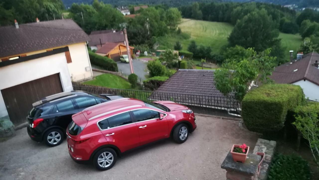 Gite De Bellevue Maison Traditionnelle Vosgienne 플레인팡 외부 사진