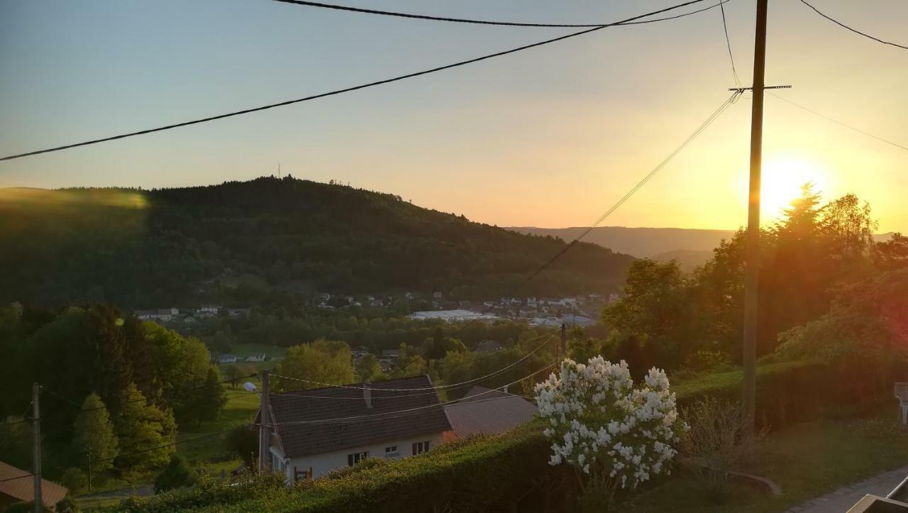 Gite De Bellevue Maison Traditionnelle Vosgienne 플레인팡 외부 사진