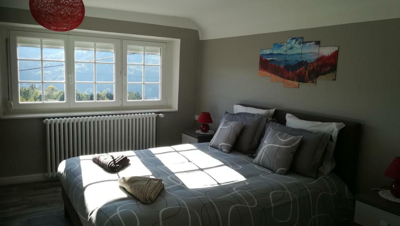 Gite De Bellevue Maison Traditionnelle Vosgienne 플레인팡 외부 사진